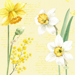 Lunchservett 3-lagers 33x33cm Spring Daffodil i gruppen Handla efter produkt / Servetter / Lunchservetter hos Duni AB (200758)