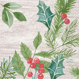 Kaffeservett 3-lagers 24x24cm Winter Greenery i gruppen Handla efter produkt / Servetter / Kaffeservetter hos Duni AB (207391)